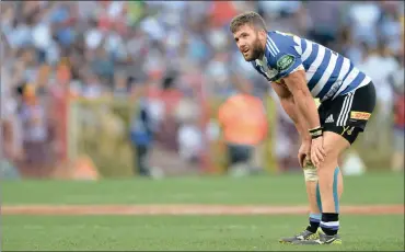  ?? Picture: BACKPAGEPI­X ?? LONELY TIMES: Jaco Taute has had to fight his way back from two serious injuries since joining the Stormers and Western Province three years ago.