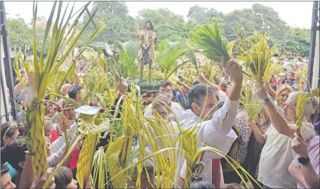  ??  ?? Cientos de personas con sus palmas en las manos participar­on de la misa del Domingo de Ramos en la Catedral.