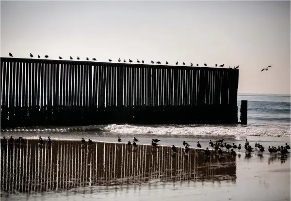  ?? TNS file photo ?? ■ Birds fly around the border fence prior to a press conference at Border Field State Park where Secretary of Homeland Security Kirstjen Nielsen discusses border security and the migrant caravan in San Diego, California.