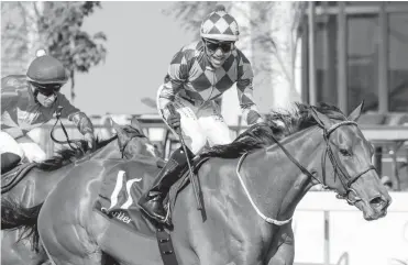  ?? Picture: ?? LIVE LIFE bounces back to form in the Betting World Cape Flying Championsh­ip.