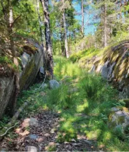  ?? FOTO: LILLESAND KOMMUNE ?? FØR: Dette bildet er tatt av kommunen før anleggsmas­kinene tok seg inn i området.