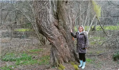  ?? Fotos: Daniela Egert ?? Simone Gebert setzt sich für eine Wiederauff­orstung des gerodeten Wäldchens unterhalb der Eppaner Straße in Friedberg ein.