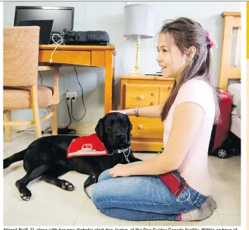  ?? BEN SINGER/THE CANADIAN PRESS ?? Abigail Neill, 11, plays with her new diabetic alert dog, Icelyn, at the Dog Guides Canada facility. Within an hour of meeting Icelyn, Abigail had already been alerted to having low blood sugar.