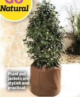  ??  ?? Plant pot jackets are stylish and practical