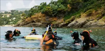  ?? (Photo C. M.) ?? Une découverte unique et en toute sécurité des fonds marins dans une aire marine protégée.