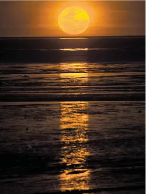  ?? FOTOS: TOURISM WESTERN AUSTRALIA ?? Als „Strickleit­er zum Mond“wird das Phänomen bezeichnet, wenn der Himmelskör­per seinen Schein bei starker Ebbe auf Meer und Watt wirft.