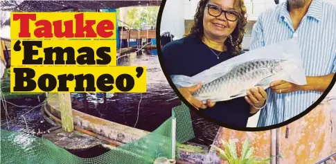  ??  ?? KOLAM ternakan ikan empurau di ladang Puri Johan Aquacultur­e Sdn Bhd.