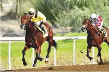  ?? Virendra Saklani/Gulf News ?? Draco, ridden by Tadhg O’Shea, wins the Emirates NBD handicap race at Jabel Ali racecourse yesterday.