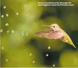  ?? ?? Parham Pourahmad of the US caught this hummingbir­d to snatch the 9-13 years award.