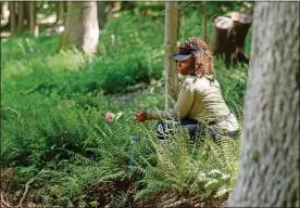  ?? DAWN STUDIOS/RISE GATHERINGS/TNS
GAIA ?? Tanisha Rosa of Brooklyn joins in a forest-bathing experience with Rise Gatherings.