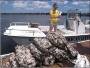  ?? PHOTOS BY WAYNE PARRY — ASSOCIATED PRESS ?? In this June 2, 2017 photo, a volunteer “oyster wrangler” with the American Littoral Society prepares to load bags of shells onto a boat in Red Bank, N.J. (