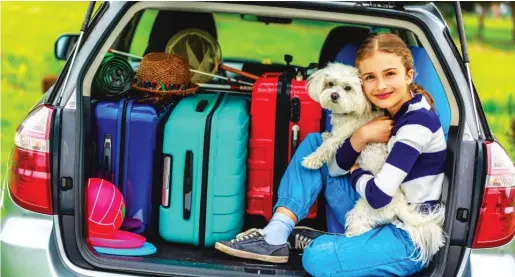  ?? STOCK.ADOBE.COM ?? Roadtrippi­ng with your dog this summer? Some smart planning can help make it a pleasant escape for everyone involved.