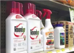  ??  ?? LOS ANGELES: Containers of Roundup, left, a weed killer is seen on a shelf with other products for sale at a hardware store. — AP
