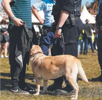  ?? Picture: GETTY IMAGES ?? Police officers and drug detection dogs prevented 2.8kg of drugs being taken in to the Splendour In The Grass at Byron Bay at the weekend.