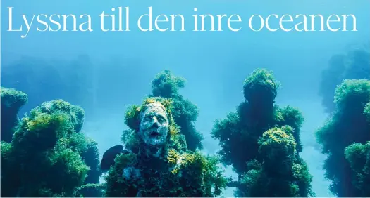  ?? FOTO: K.O. FRAMLEIOSI­A/YLE ?? MEDITATIVT OCH ANDLIGT. Dokumentär­en om intuition illustrera­s bland annat av undervatte­nsbilder.