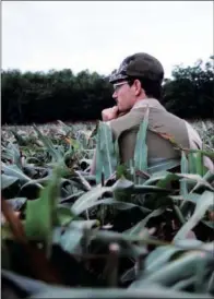  ??  ?? Watching dove activities in a field prior to picking a stand can help you pinpoint the best spot in a field where you can take good shots at passing or incoming doves.