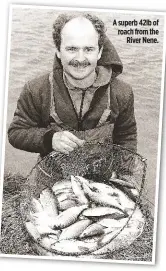  ??  ?? A superb 42lb of roach from the River Nene.