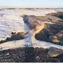  ?? HANK DIAMOND / CP ?? A beached whale has sat in Nameless Cove, N.L. since last fall. Villagers hope to quickly remove it as warmer weather approaches.