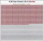  ?? ?? ‘I turned 50 a few weeks ago. Assuming I will live to about 75, I’ve lived over two-thirds of my life,’ says Assisi. Above is this ratio represente­d on the timelife grid created by Tim Urban.