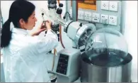  ?? PROVIDED TO CHINA DAILY ?? A technician works in the natural medicine lab of Di’ao Group in Chengdu.