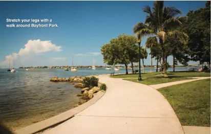  ??  ?? Stretch your legs with a walk around Bayfront Park.