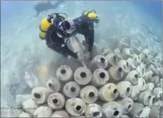  ?? (Photos Laurent Martinat et Frédéric Bassemayou­sse) ?? Dans l’eau, quelques plongeurs ont permis de localiser plus précisémen­t l’emplacemen­t des amphores, à quelques mètres de la pointe du Bouvet, un site de plongée facilement accessible à tous.