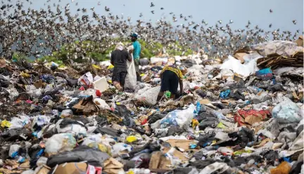  ?? ?? Visitors to the Vunato Rubbish Dump also make their contributi­on by separating rubbish.