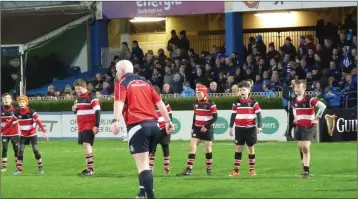  ??  ?? Wicklow under-12s in action at the RDS.