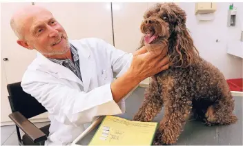  ?? ARCHIVFOTO: UWE MISERIUS ?? Amtsveteri­när Kurt Molitor empfiehlt Impfungen vor allem bei Reisen in Tollwut-Länder wie Indien, in denen es viele frei laufende Hunde und Katzen gibt.