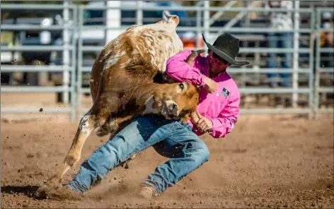  ?? PHOTO DAN LESOVSKY (WEASEL LOADER PHOTO) ?? Tucker Allen competes in the steer wrestling event at this weekend’s Cattle Call Rodeo in Brawley.