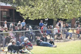  ?? Not this year: ?? Crowds enjoy the Benalla Spring Show in 2019. This year, sadly, there will be no spectators.