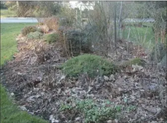  ?? LEE REICH VIA AP ?? The leafy mulch covering this flower bed provides many benefits, not the least of which is snuffing out small weed seedlings that would try to gain access in spring.