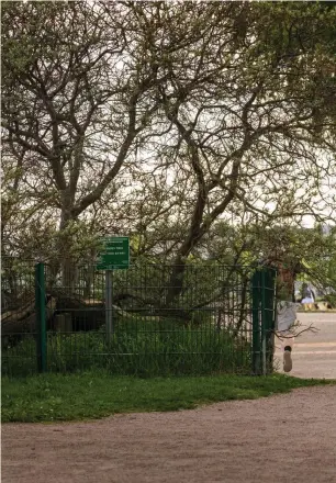  ??  ?? Strandprom­enaden längs med Eirastrand­en. Till höger finns en trevlig skejtpark, rakt fram underbara klippor, här finns det något för alla.