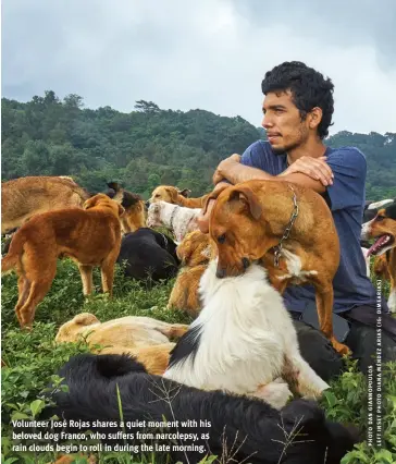  ?? ?? Volunteer José Rojas shares a quiet moment with his beloved dog Franco, who suffers from narcolepsy, as rain clouds begin to roll in during the late morning.