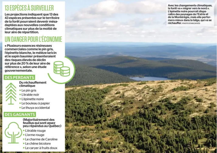  ?? PHOTO D’ARCHIVES ?? Avec les changement­s climatique­s, la forêt va « migrer vers le nord ». L’épinette noire pourrait disparaîtr­e des paysages de l’estrie et de la Montérégie, mais elle performera mieux dans la taïga, qui va se réchauffer.