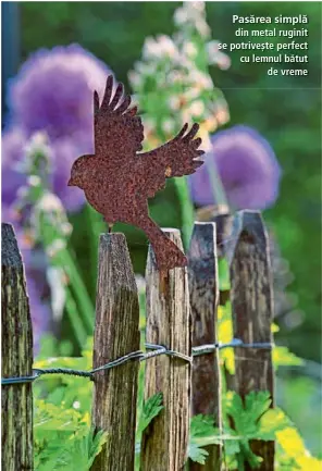  ??  ?? Pasărea simplă din metal ruginit se potrivește perfect cu lemnul bătut de vreme