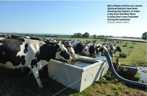  ?? PHOTOS: ROGER JONES ?? Gerry Nolan and his son James (pictured below) have been drawing two tankers of water a day from the River Nore to keep their cows hydrated during the heatwave