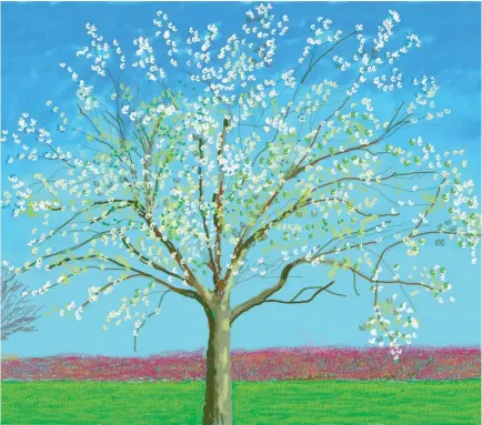  ??  ?? Spring arrives in Normandy, March 2020. Hockney ipad painting