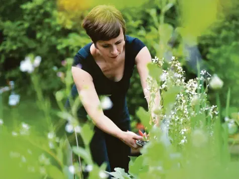  ?? Foto: Sven Braun, dpa ?? Auch Carolin Engwert hat den Garten für sich entdeckt. Sie gibt Tipps für das Gärtnern im Schreberga­rten oder auf dem Balkon.