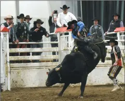  ?? NEWS PHOTO JAMES TUBB ?? Dawson Shannon of Drayton Valley, holds on while riding ‘Slim Chance’ Saturday night at the Broncs and Honky Tonks Indoor Spring Rodeo.