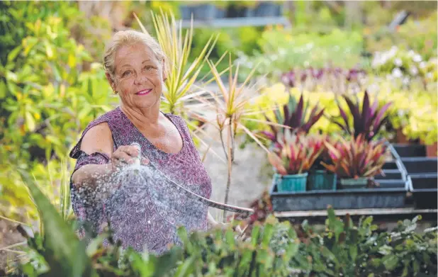  ?? Picture: STEWART McLEAN ?? TOUGH TIMES: Carol Ross waters plants at her White Rock Nursery, which she says is an expensive business during dry spells.