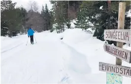  ?? FOTO: IRENE HEGGE GUTTORMSEN ?? Vinteridyl­l i Froland fra lørdag.