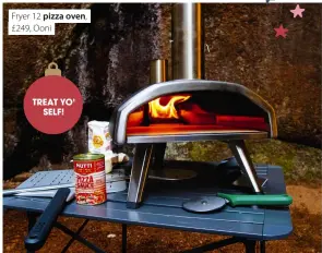  ?? ?? Fryer 12 pizza oven, £249, Ooni