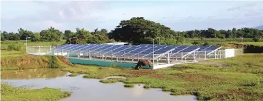  ??  ?? Following the completion of the solar-powered irrigation system in Llanera, Nueva Ecija, farmers have already expand their production areas.