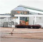  ?? RICK WOOD / MILWAUKEE JOURNAL SENTINEL ?? What used to be a main entrance to a food court is boarded up and in disrepair at the former Northridge Mall.