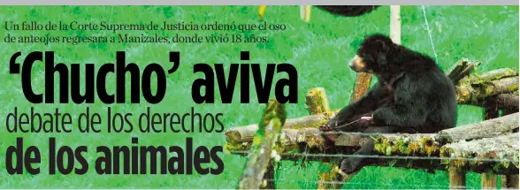PressReader - El Heraldo (Colombia): 2017-07-29 - FALLO SOBRE OSO 'CHUCHO'  DESATA DEBATE SOBRE DERECHOS DE ANIMALES