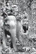  ?? AVI/AFP ?? Armed Viet Cong guerrillas carry ammunition on an elephant’s back through a South Vietnam plateau forest in November 1969.