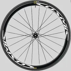  ??  ?? Toutes les roues sont déclinées en versions patins ou disque, comme cette Cosmic Elite Disc UST.