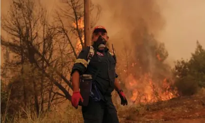  ?? Photograph: Kostas Tsironis/EPA ?? A firefighte­r pauses while battling flames during a wildfire on the Greek island of Evia.