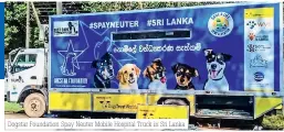  ??  ?? Dogstar Foundation Spay Neuter Mobile Hospital Truck in Sri Lanka